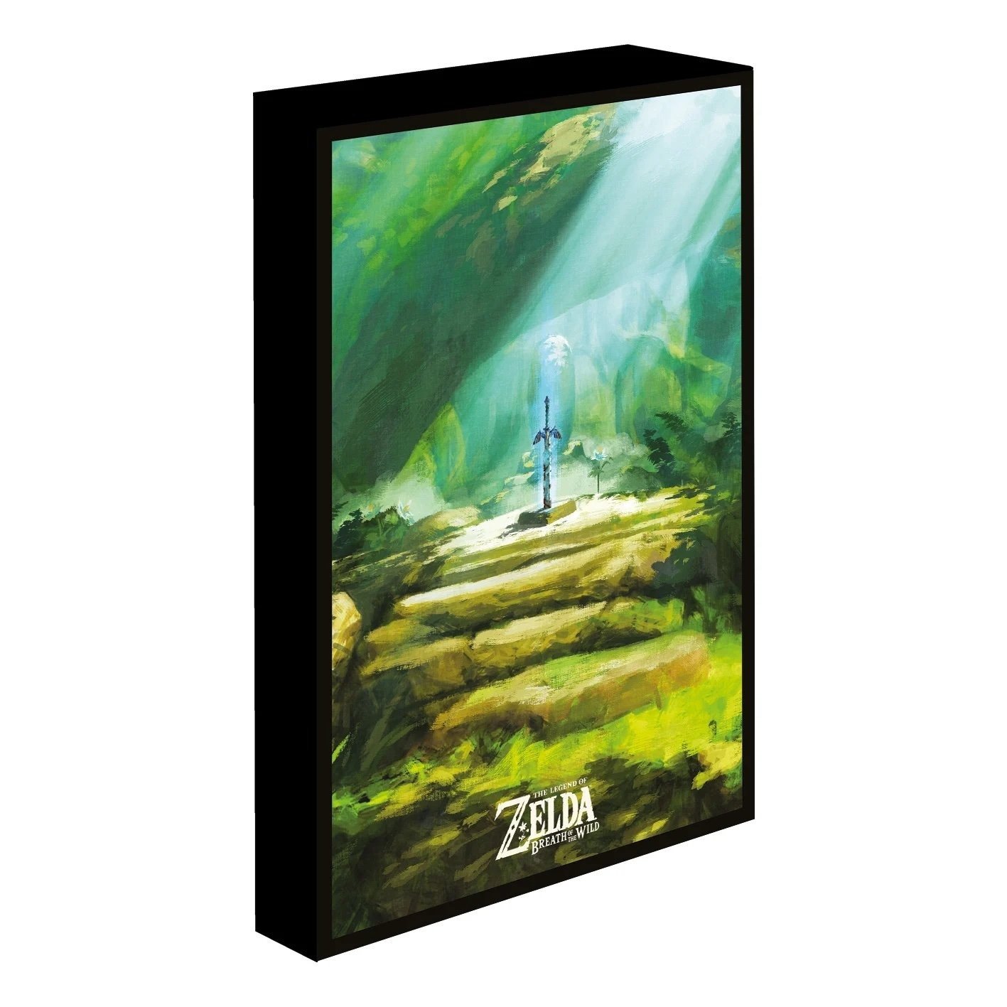 Toile lumineux - La légende de Zelda :  Master Sword - 40 x 30 cm