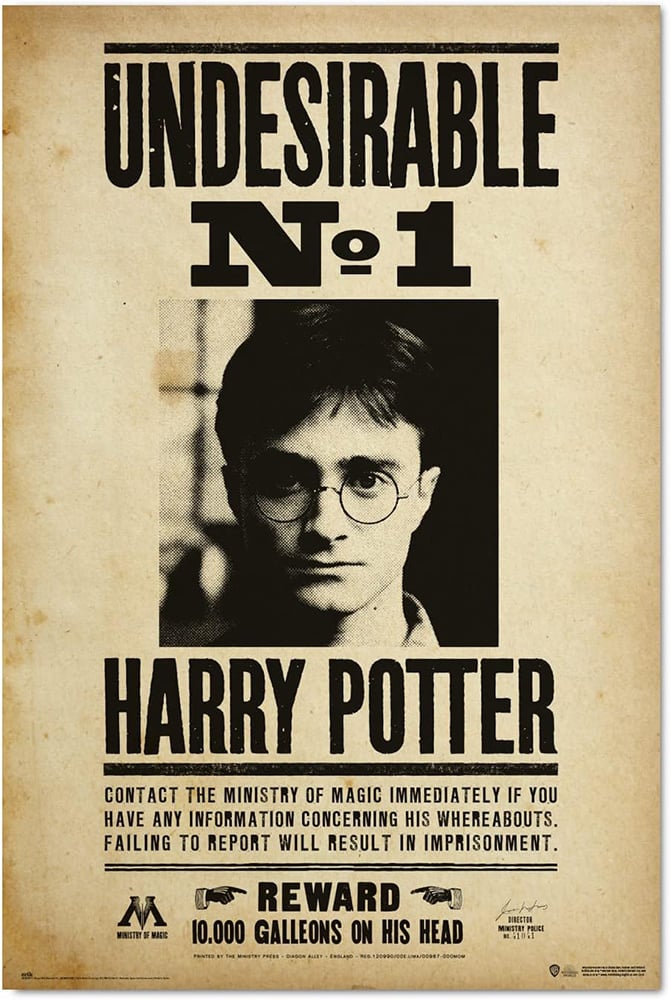 Poster harry potter undesirable n1