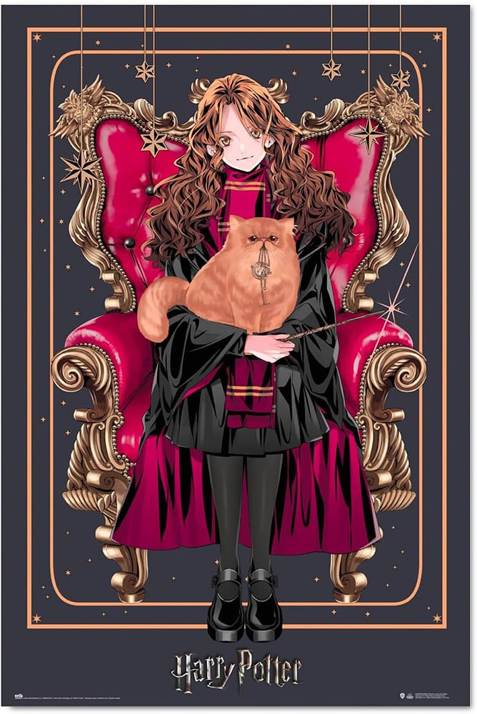 Poster Harry Potter Wizard Dynasty Hermione