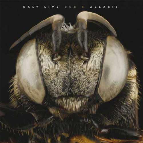Allaxis by Kaly Live Dub