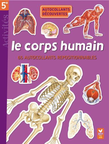 Le corps humain - 65 autocollants repositionnables