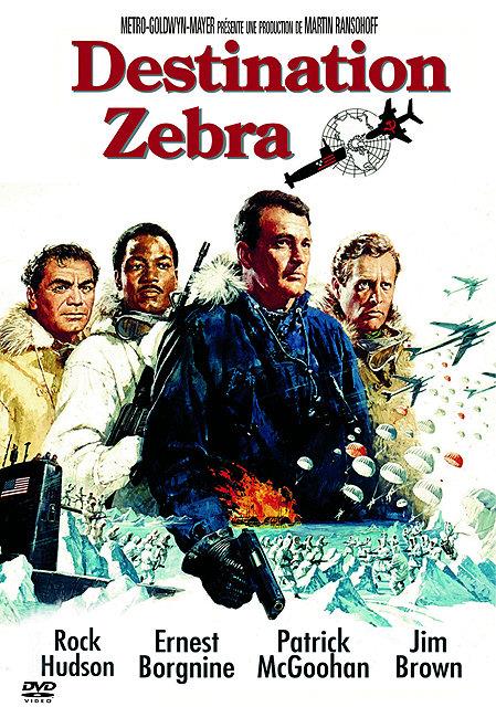 Destination Zebra