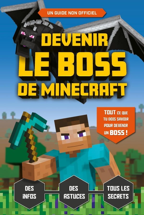 Devenir le boss de Minecraft - le guide de jeu