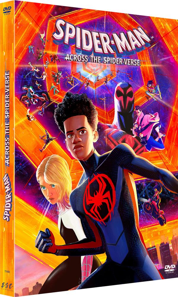 Spider-Man : Across the Spider-Verse