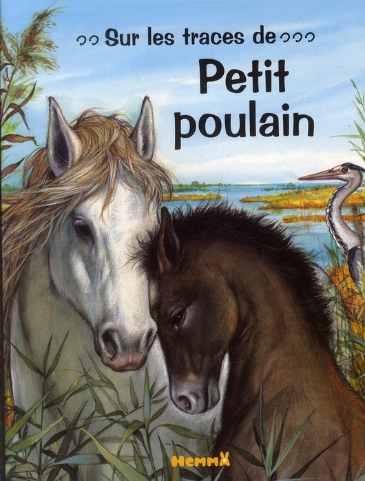 Sur les traces de petit poulain