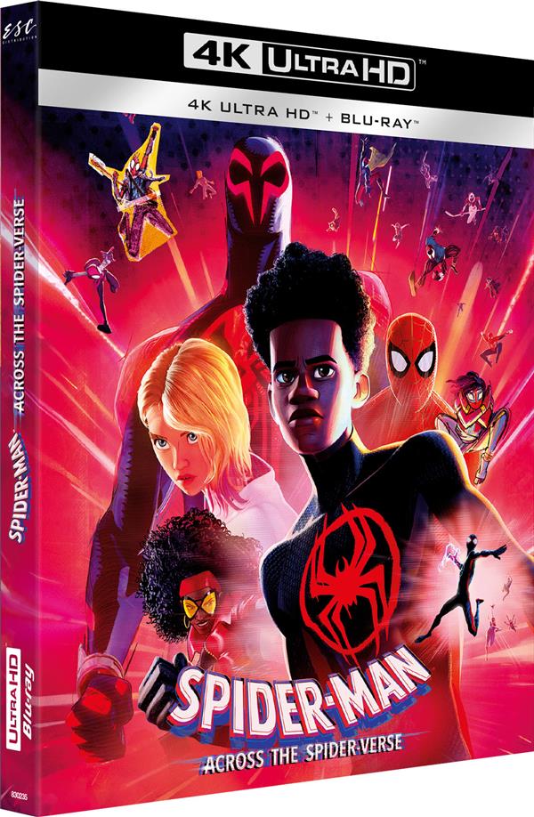 Spider-Man : Across the Spider-Verse