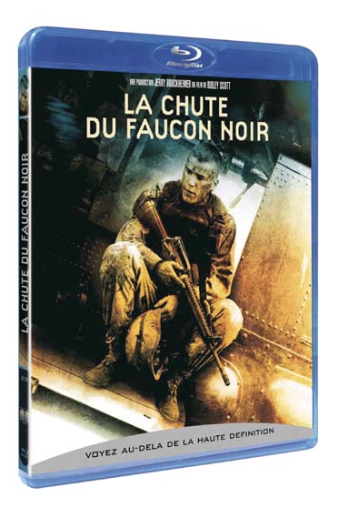 La Chute du faucon noir