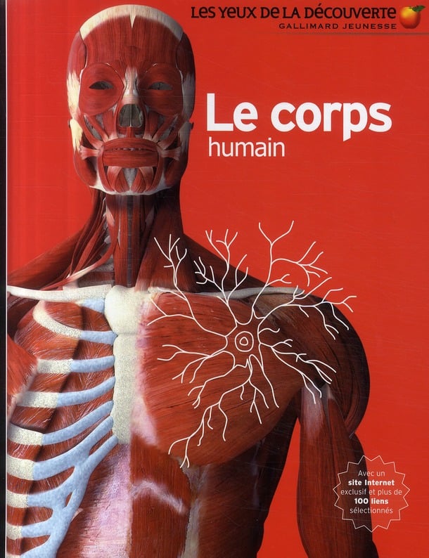 Le corps humain