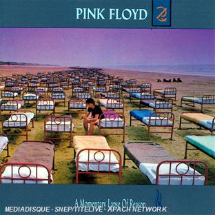 A Momentary Lapse Of Reason