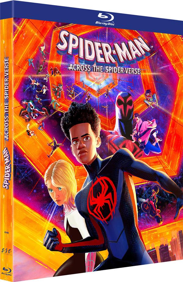 Spider-Man : Across the Spider-Verse