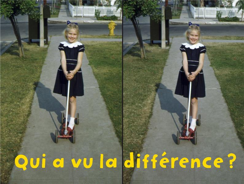 Qui a vu la différence ?