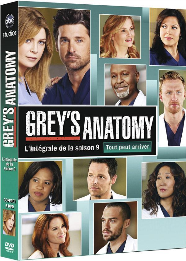 Grey s anatomy saison 9 dvd