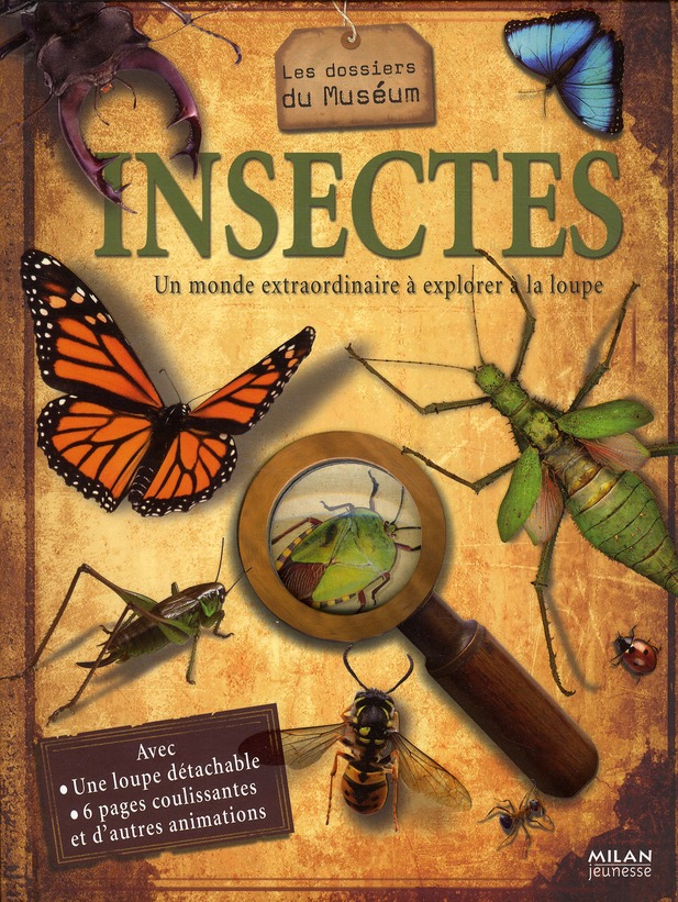 Insectes - un monde extraordinaire à explorer à la loupe