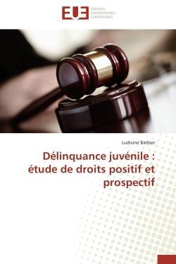 Ludivine Barbier Délinquance juvénile : étude de droits positif et prospectif