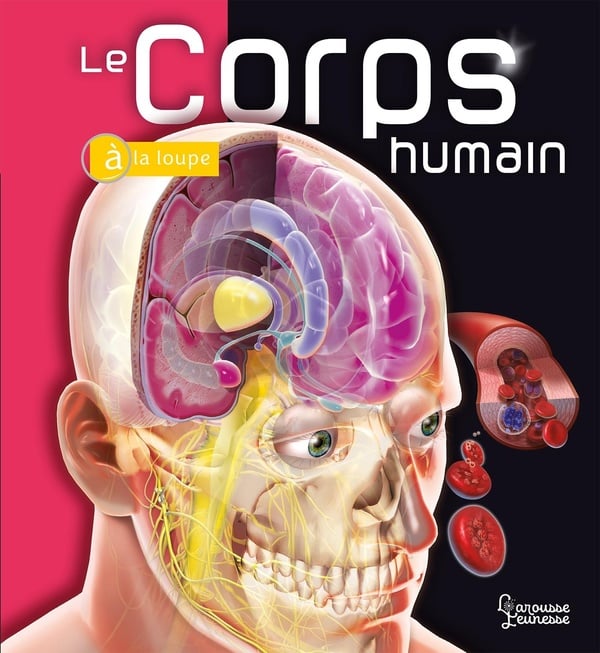 Le corps humain à la loupe