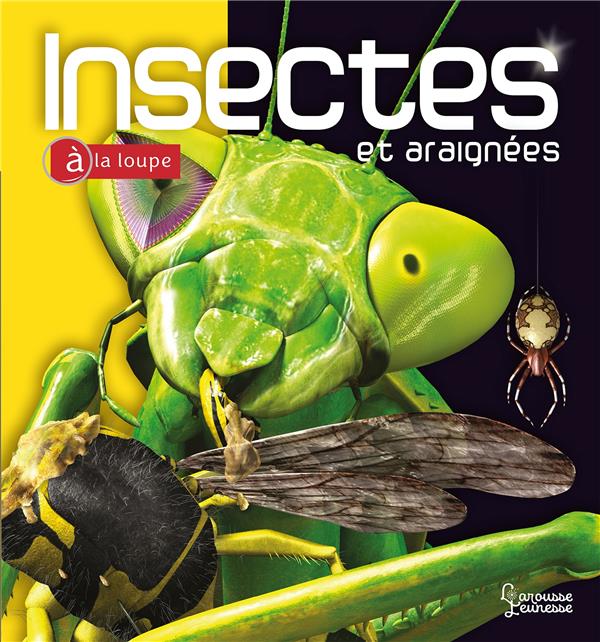 Insectes et araignées à la loupe