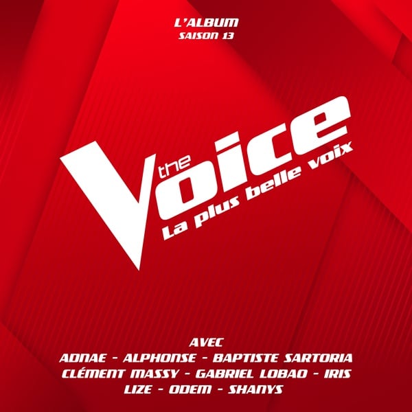 The Voice : La plus belle voix (Saison 13)