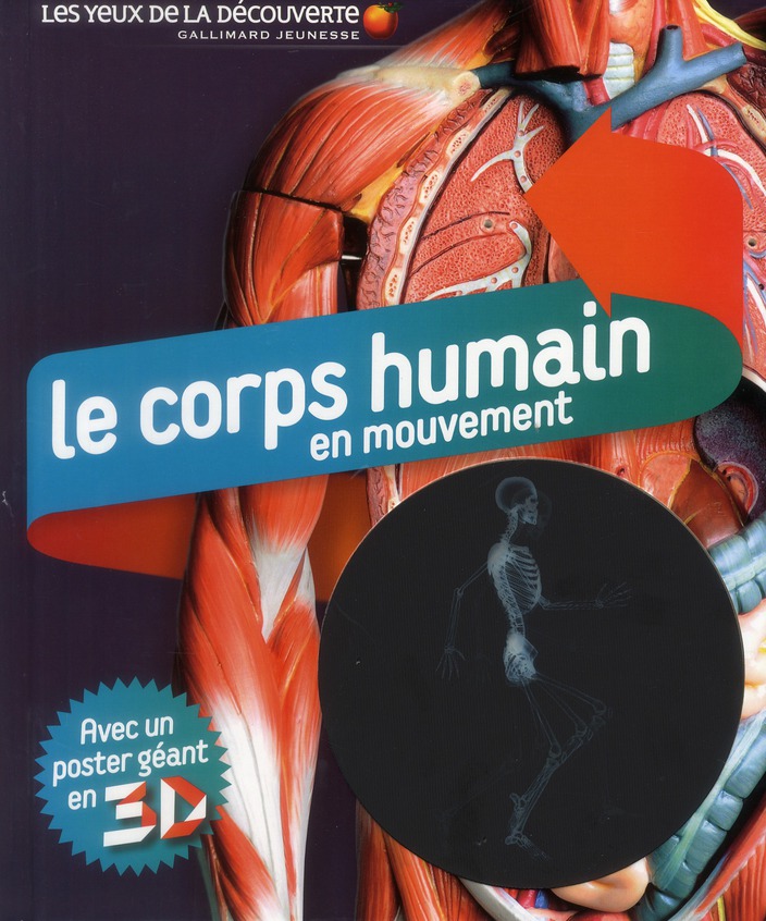 Le corps humain en mouvement