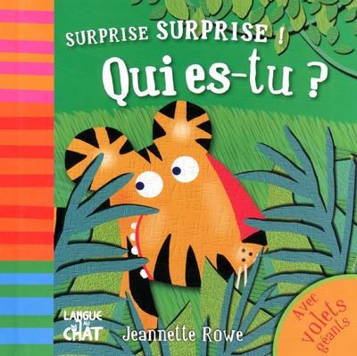 Surprise surprise ! qui es-tu ?