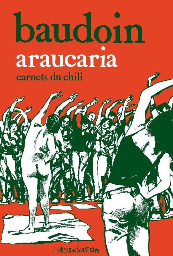 Araucaria - carnets du Chili