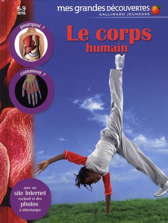 Le corps humain