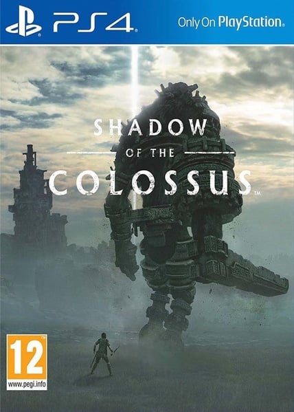 Shadow of the Colossus Jeu PS4 - vue 9