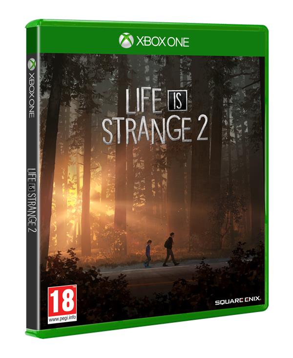 Life Is Strange 2 Ps4 - vue 5