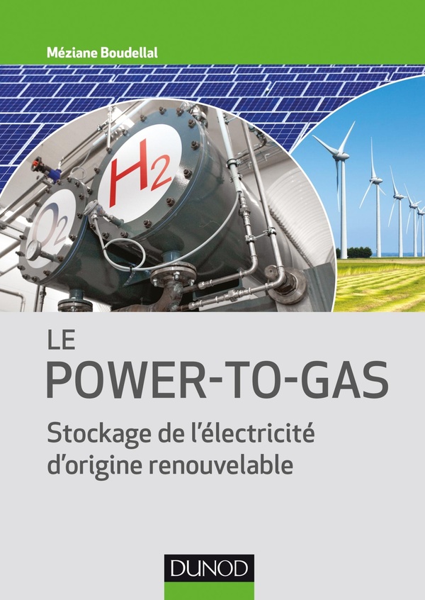 Méziane Boudellal Le Power-To-Gas - Stockage De L'électricité D'origine Renouvelable