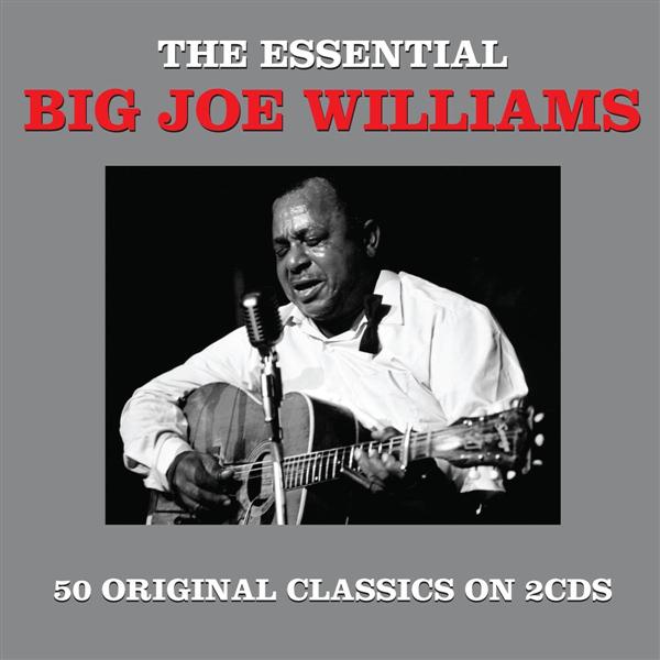 The essential Big Joe Williams