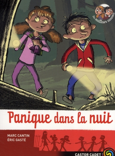 Les meilleurs ennemis Tome 6 : panique dans la nuit !