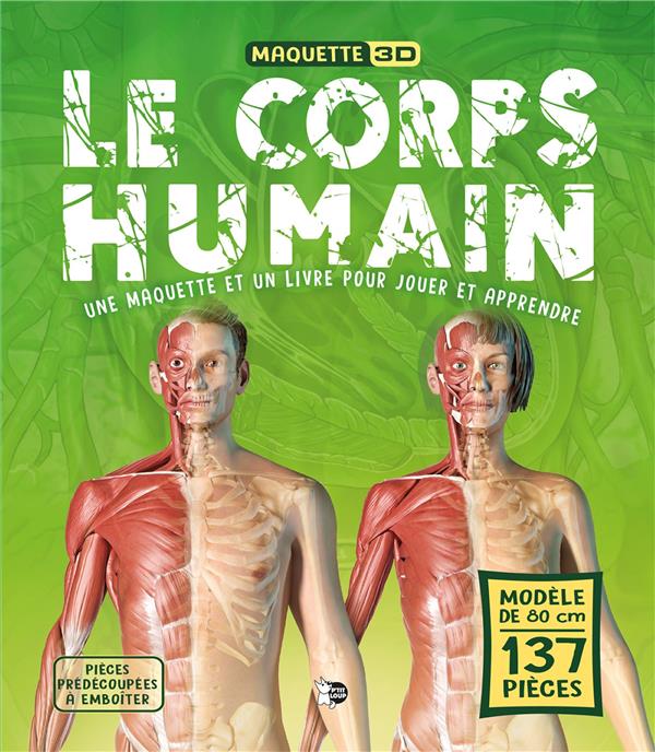 Le corps humain : Une maquette et un livre pour jouer et apprendre