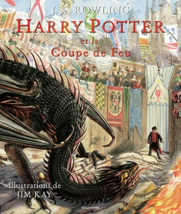 Harry Potter Tome 4 : Harry Potter et la coupe de feu