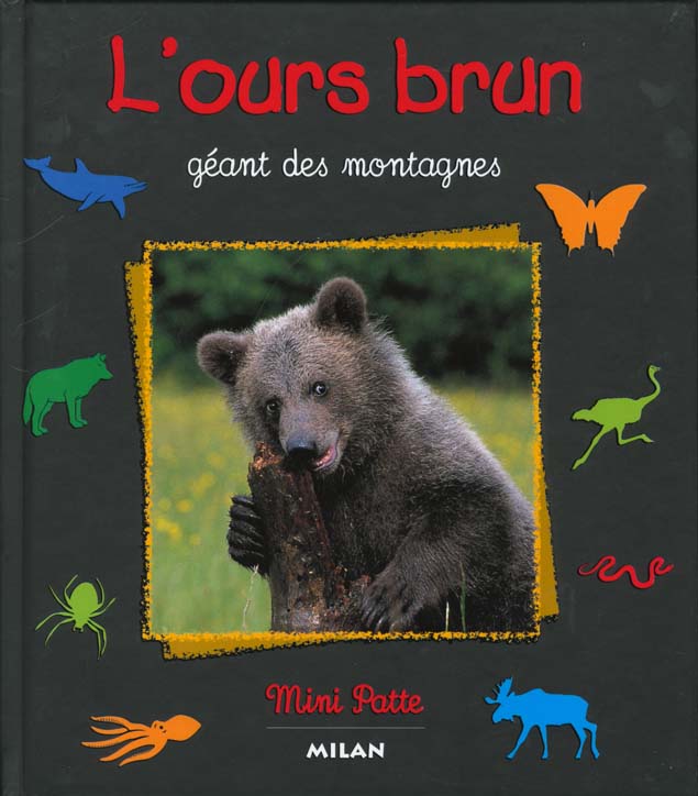 L'ours brun geant des montagnes