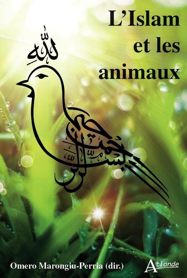 L'islam Et Les Animaux