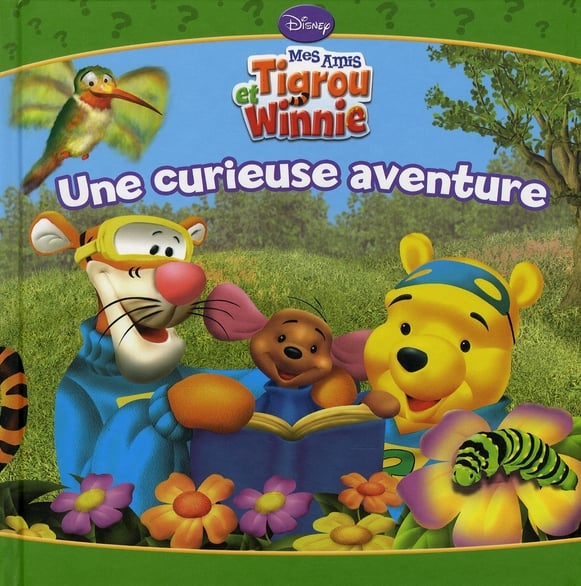 Mes amis tigrou et winnie - une curieuse aventure