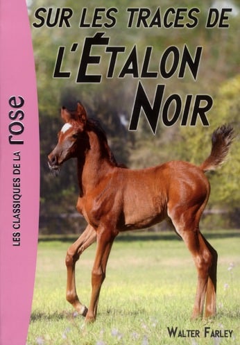 L'étalon noir Tome 7 : sur les traces de l'étalon noir