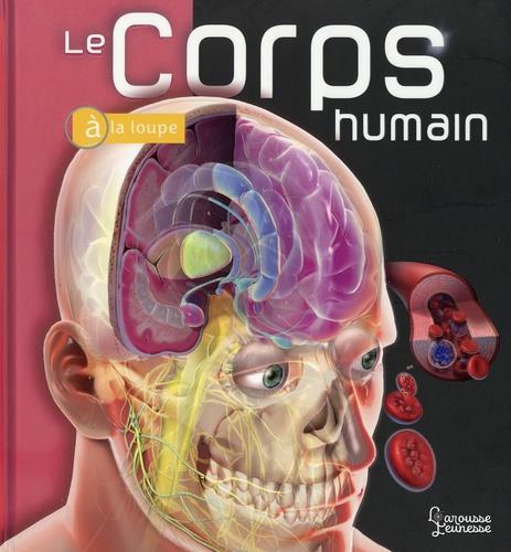 Le corps humain